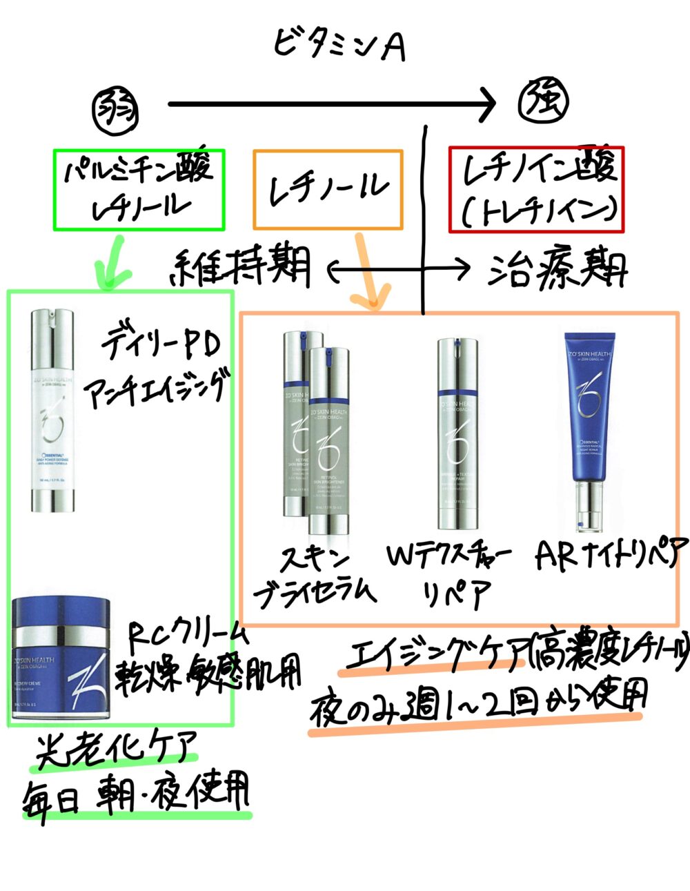 ビタミンAの種類